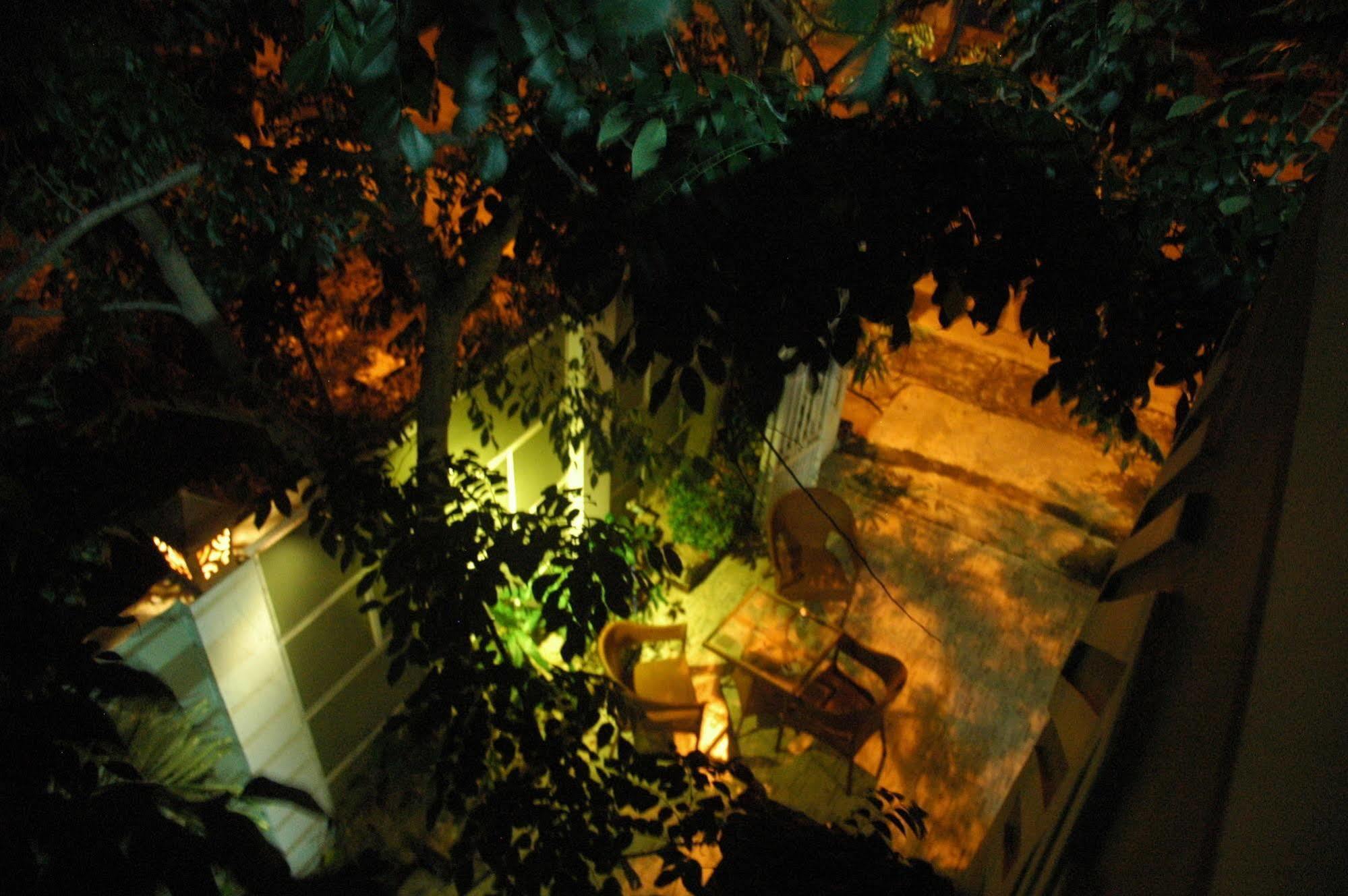 Hoi An Merrily Homestay מראה חיצוני תמונה